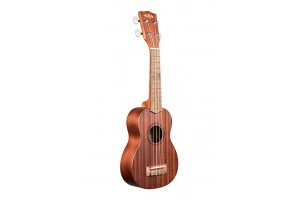 Các loại đàn ukulele nào tốt Đáng nên mua sử dụng